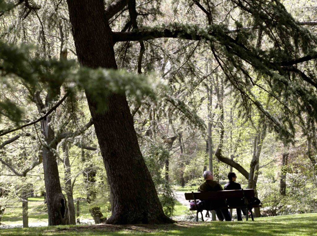 parque en Madrid