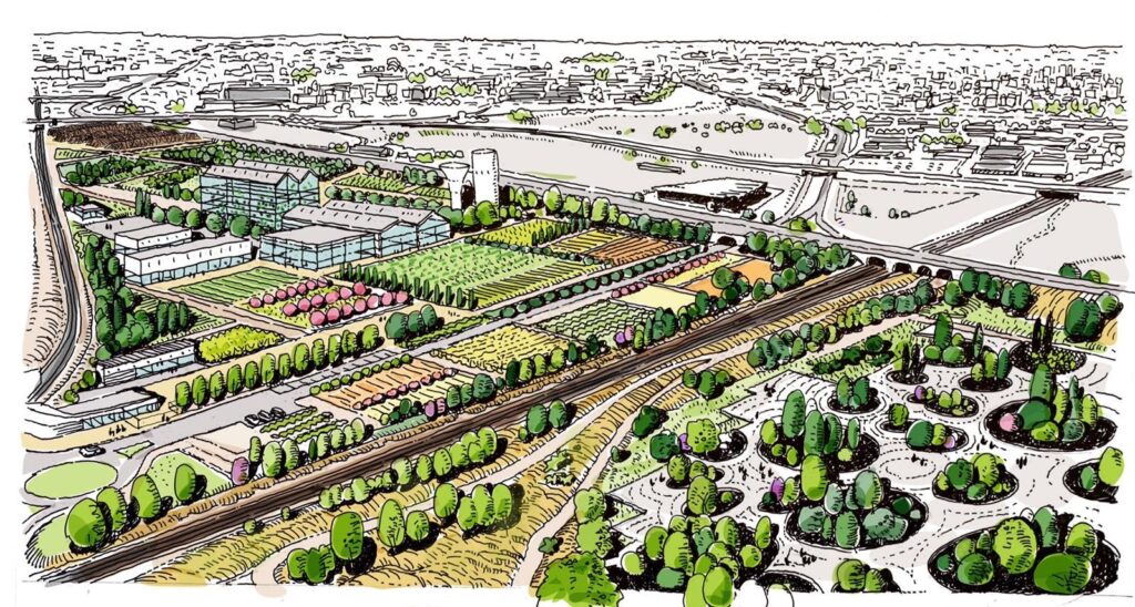 Bosque metropolitano. Lote 5