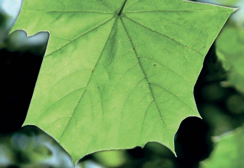 informe educación ambiental