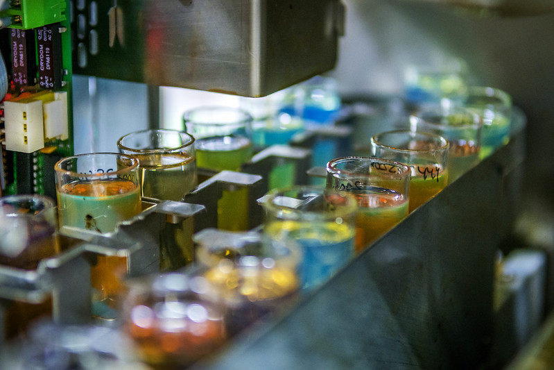 Repsol extenderá su red de suministro de combustibles renovables en 2024.