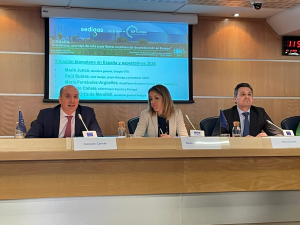 La Asociación Española del Gas, Sedigas, destaca la importancia crucial de los gases renovables, en particular el biometano, para alcanzar la neutralidad climático