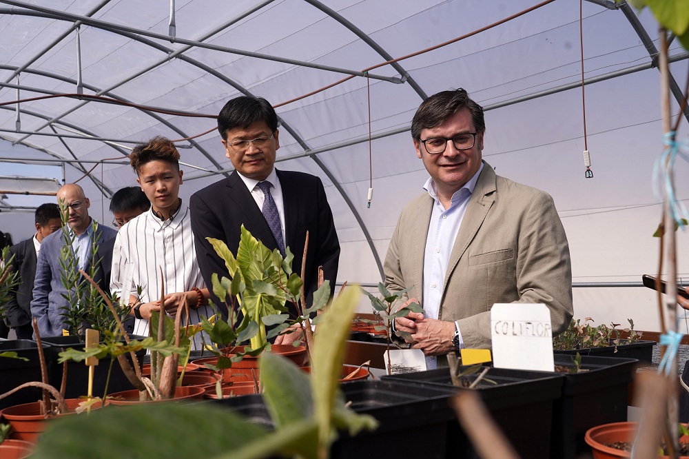 Visita este lunes de González, junto a delegación china, al Huerto Formativo El Pozo