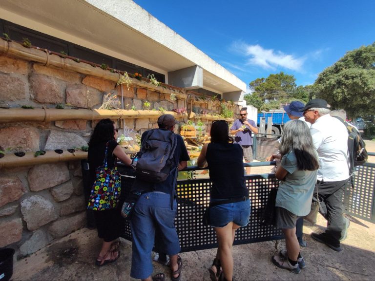 Los sistemas de ciclo cerrado de producción de alimentos ahorran hasta el 70% de agua en relación a un cultivo en tierra.