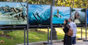 Exposición Historias de deporte