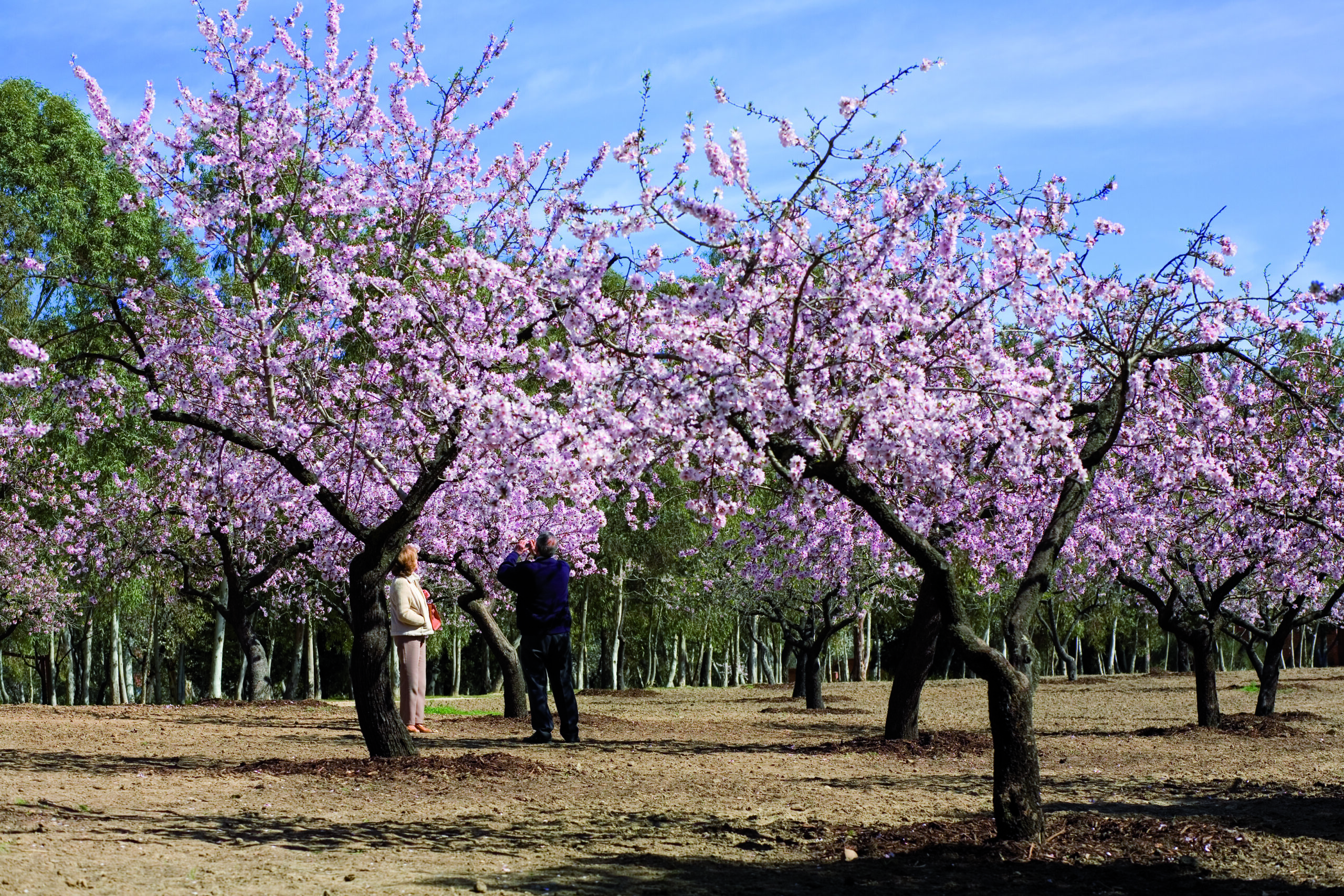 APS Urbanismo para seniors