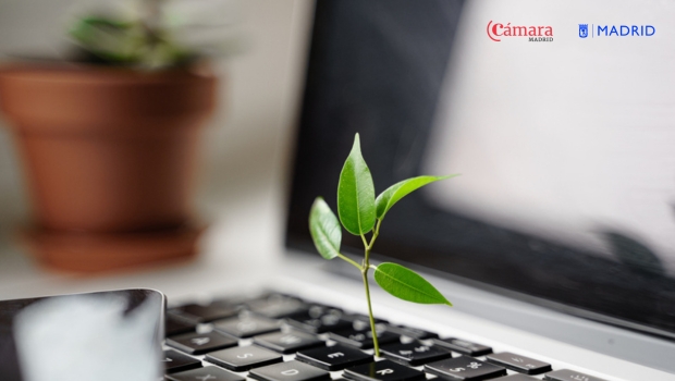 En colaboración con el Ayuntamiento de Madrid, la Cámara de Comercio, Industria y Servicios de Madrid facilita a las empresas madrileñas el acceso a servicios 100% bonificados que contribuyen a integrar la sostenibilidad en su estrategia y a reforzar su competitividad.