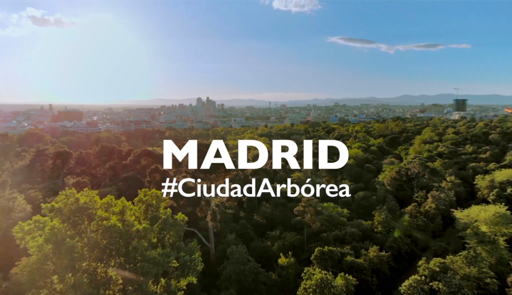 Madrid obtiene por séptimo año consecutivo el reconocimiento de Ciudad Arbórea del Mundo