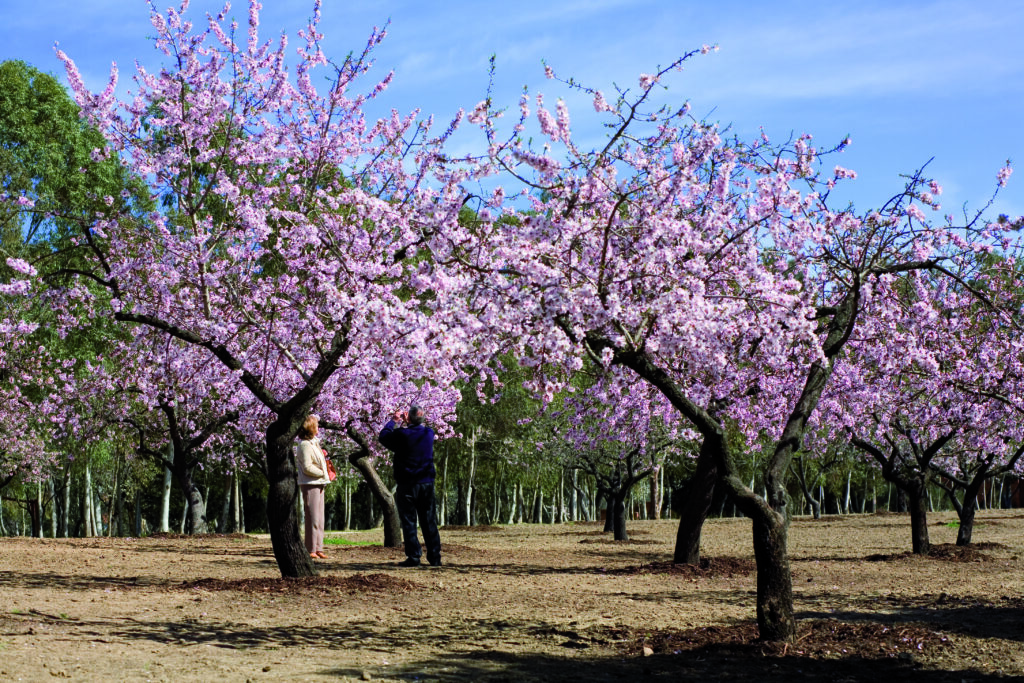 APS Urbanismo para seniors