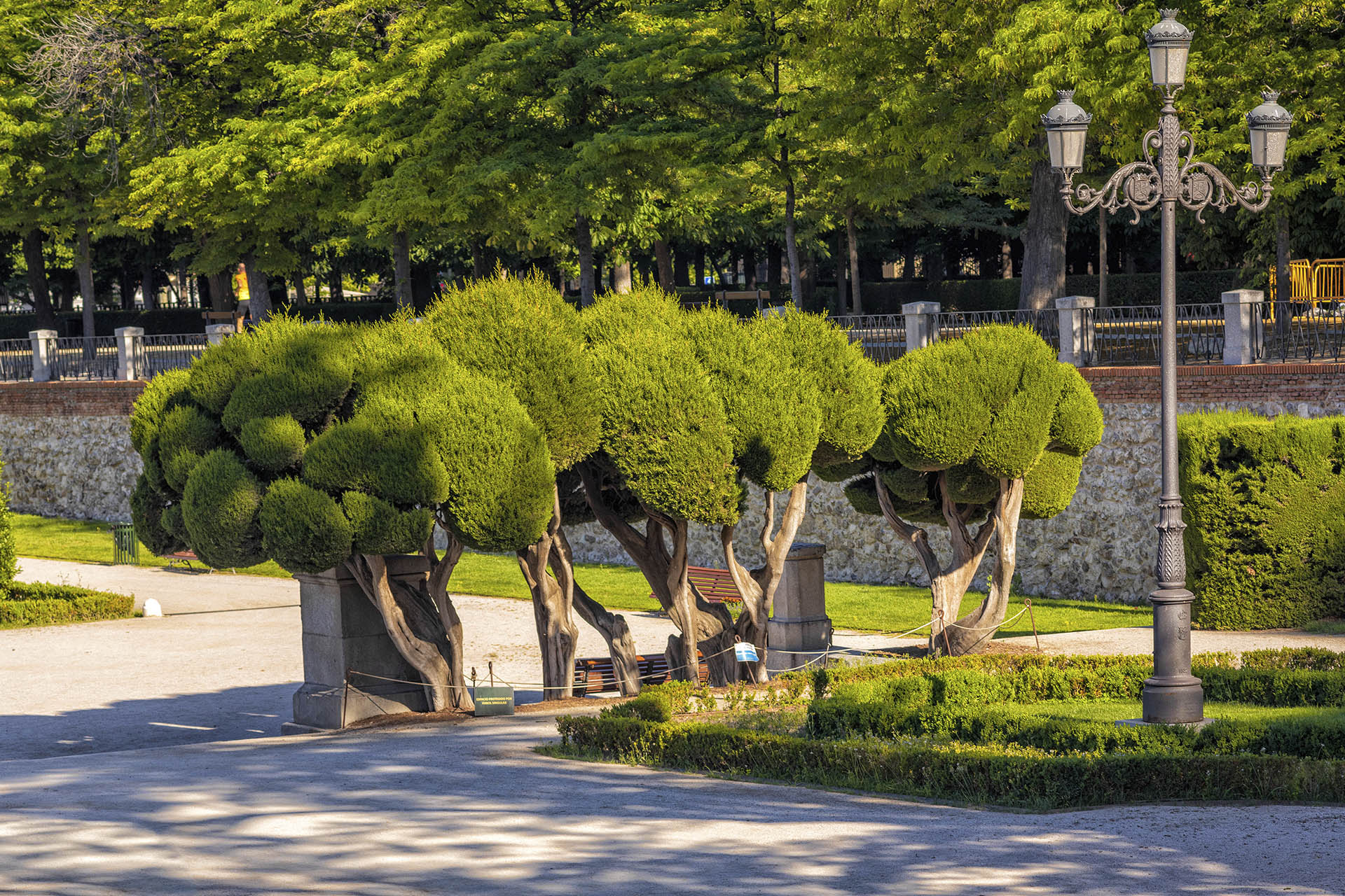 Un Madrid más verde | Wemadrid